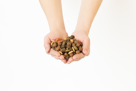 hands full of dry dog food on white background.の写真素材