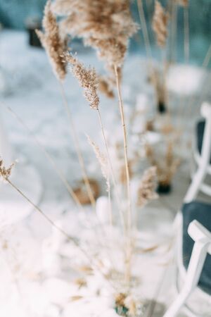 The decor of the ceremony is made of dried flowers. Burning candles on fire in the decor. Autumn wedding decor.の写真素材