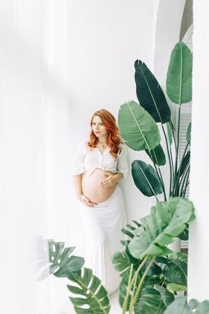 Waiting for a happy baby in a boudoir dress. Pregnant girl in a tropical Studio.の写真素材