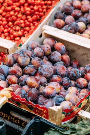 A street market in Italy. Fruit and fish on the counter. Fresh vegetables, close perspective. Fish products, shrimp and mussels with ice.の写真素材