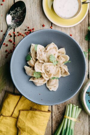 dumplings with potatoes, cheese, berries, compositions for the menu of the restaurant, decorated with greens and sauceの写真素材