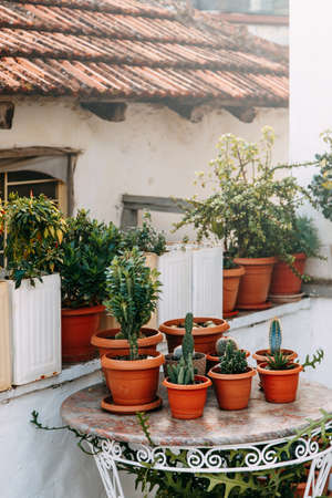 Turkish decoration of terraces with pots and white plaster. Mediterranean architecture and flowers on the terrace.の写真素材