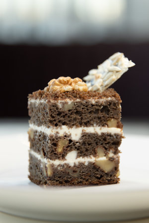 Sliced cake, side view on a white plate. A piece of chocolate cake with a walnut close-up.の写真素材