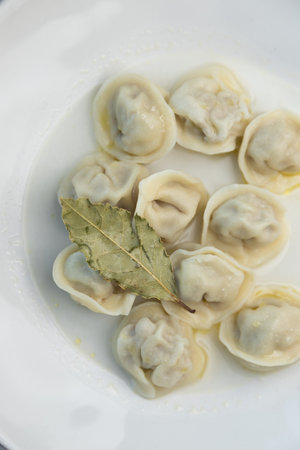 Restaurant serving dishes, close-up. Meat dumplings on a white plate with bay leaf.の写真素材
