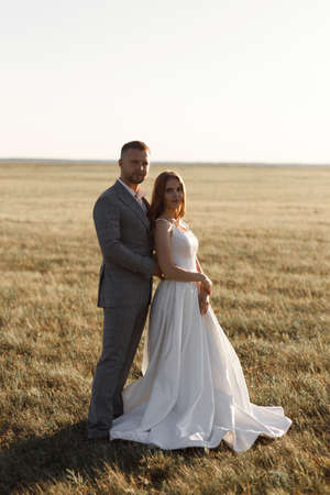 Wedding photo shoot in a field in nature. The bride and groom in the European style at sunset on the meadow.の写真素材