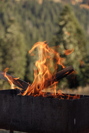 Enjoy the captivating campfire flames in a serene forest setting with nature and good companyの写真素材