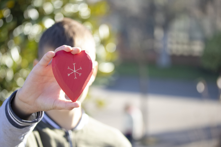 A boy holds and shows a wooden red heart in his hand, being in a park among trees on a sunny Valentine's Day and Mother's Dayの写真素材