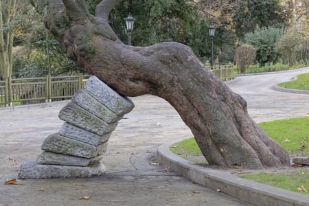 Arch of wood and retaining stones in the park. The concept of saving nature and ecology on the planetの写真素材