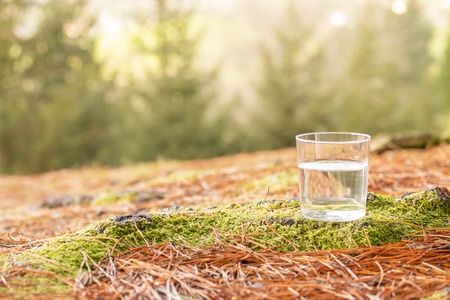 Clear water in a transparent glass on the background of fir trees and fallen pine needles in the coniferous forest. Healthy food and ecologically pure natural water from a springの写真素材