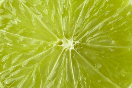A slice of lime is a large species. Macro. background.