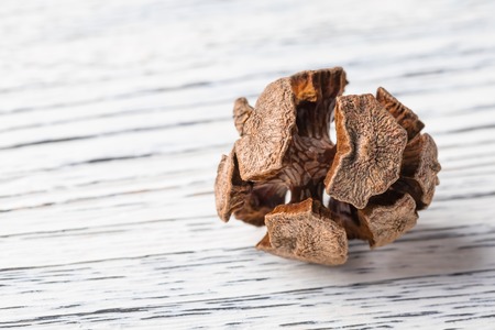One dried cypress cone on a white painted wooden background close-up