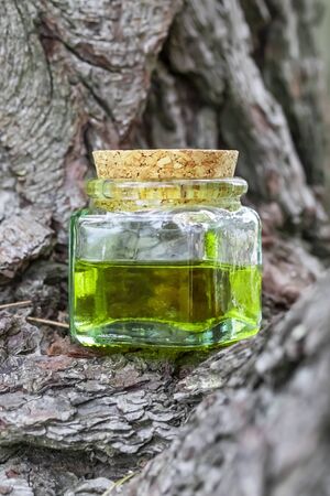 Glass bottle with cork cap with green-yellow nectar oil. Located on the bark of coniferous wood. The concept of the use of natural ingredients in cosmetics and medicineの写真素材