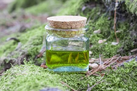 A glass jar with a wooden lid half filled with green-yellow nectar oil. Located on the roots of a tree with green moss. The concept of traditional medicineの写真素材