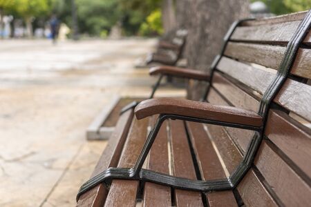 Brown wooden plank bench. varnished, with metal handles in a park with trees