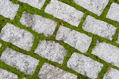 Stone gray pavers with green grass sprouted between tiles. City backgroundの写真素材