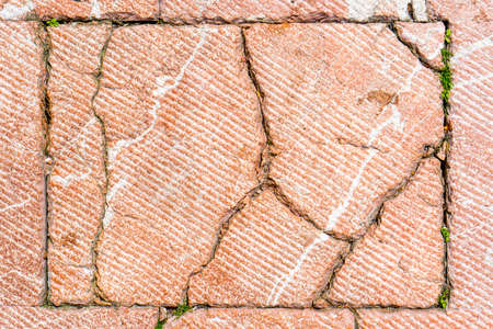 Cracks on the road red tile. Sprouted green grass in the crack. Copyspace. Abstract background. Old road surfaceの写真素材