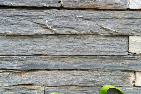 Black slate block wall texture. Background close up with green foliage. Copyspaceの写真素材