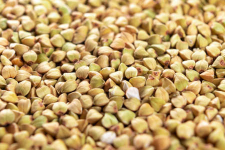 Green buckwheat. Heap of raw green buckwheat. Healthy dietetic vegan food. Macroの写真素材
