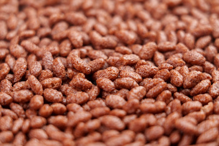 Crispy chocolate rice cereal breakfast close-up