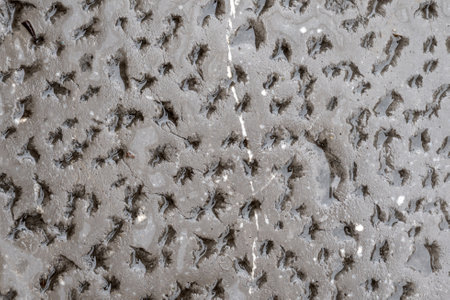 Wet cement wall background with shiny glossy perforated surface