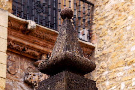 Sharp metal spikes of pigeon protection on an antique pillar. Bird scaring, pest controlの写真素材