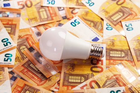 Energy saving light bulb and european money. Conceptual view. Close upの写真素材