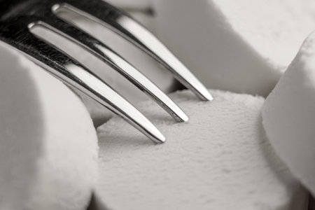 Pieces of fresh sliced goat cheese and a steel fork. Delicacy dairy productの写真素材
