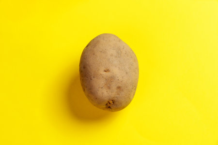 Single whole organic potato on a bright color creative background. Eco ingredients concept.の写真素材
