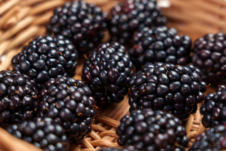 Raw fresh blackberries in rattan wicker bowl. Organic berry