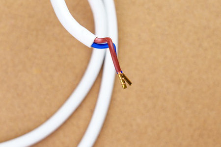 Two electrical wires with gold-plated terminals. The cables are red and blue and are insulated with...