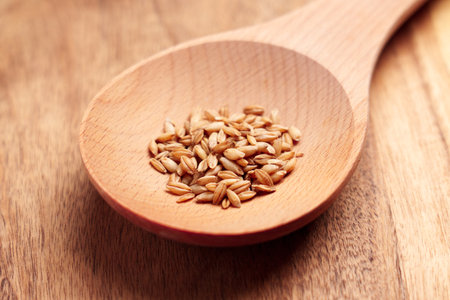 Wooden spoon with pile of raw grass seeds ready to grow close upの写真素材