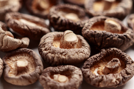 Dried shriveled edible shiitake mushrooms close upの写真素材