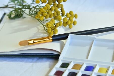Watercolor paints, a flower and a brush with a black shaft lying on top on a sketchbook and white tablecloth in cold colors with deep shadows.の写真素材