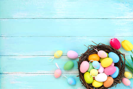 Colorful Easter eggs in nest with tulip flower on blue wooden background.  Easter holiday in spring...