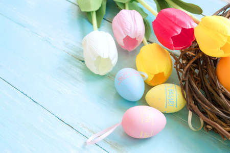 Colorful Easter eggs in nest with tulip flowers on blue wooden background.  Easter holiday in spring...