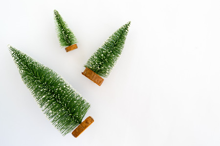 Christmas trees isolated on white background. Creative flat lay, top view designの写真素材
