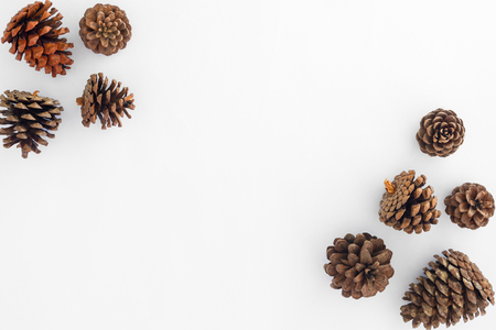 Christmas pine cones on white paper border composition. Creative flat lay, top view designの写真素材