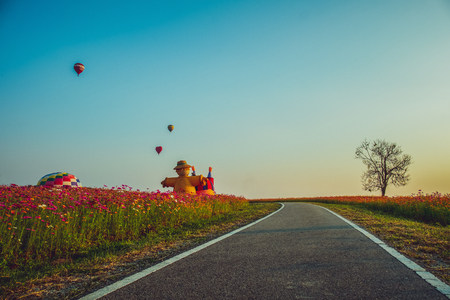 Landscape nature background of beautiful cosmos flowers field and hot air balloon on blue sky - Imageの写真素材