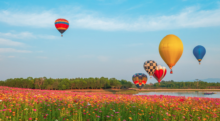 Colorful hot air balloon over cosmos flowers field on sky. Landscape nature background- Imageの写真素材