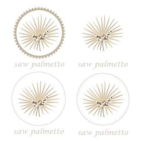 vector saw palmetto. nature of health supplement labels.のイラスト素材