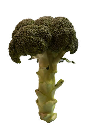 Fresh green tree-shaped broccoli. Isolated on white background.の写真素材