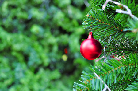 Decorated Christmas treeの写真素材