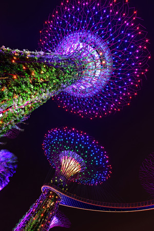 SINGAPORE - JULY 3, 2015: Supertree Grooves over the blue sky. Supertree Grooves located in Garden by the Bay, Singapore.のeditorial素材