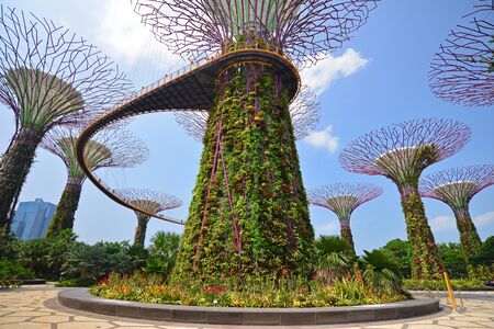 SINGAPORE - JULY 3, 2015: Supertree Grooves over the blue sky. Supertree Grooves located in Garden by the Bay, Singapore.のeditorial素材