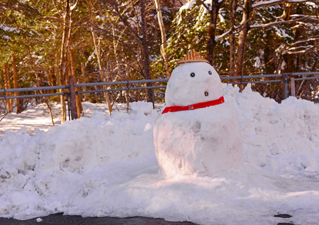 A lonely Snowman standing on the snow. Concept about loneliness and waiting for someone.