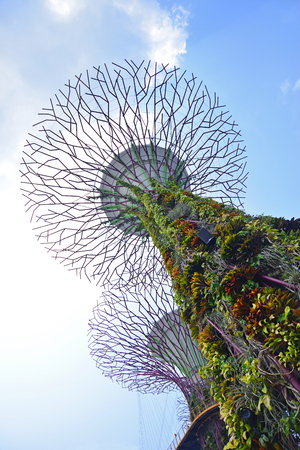 SINGAPORE - JULY 3, 2015: Supertree Grooves over the blue sky. Supertree Grooves  located in Garden by the Bay, Singapore.のeditorial素材