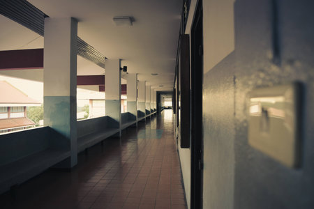 looking along the pathの写真素材