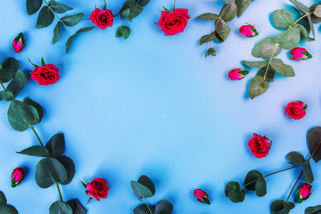 Blue background with sprigs of eucalyptus and flowers. Flat lay, top view.の写真素材