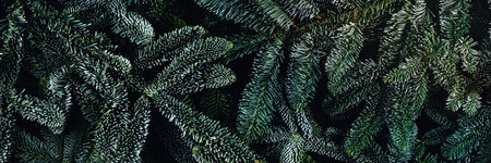 Christmas and New year web banner with fir branches. Flat lay, top view, copy space.