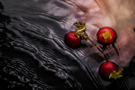 radishes in the water with waves and green splash effect branchesの写真素材